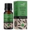 Herbys spanyol zsálya olaj foodgrade 5 ml
