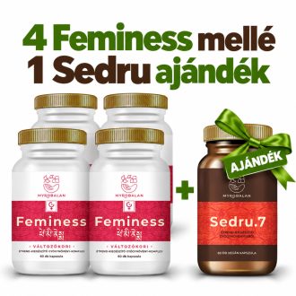   Myrobalan feminess könnyed változókor gyógynövény-komplex vegán kapszula 60 db