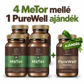   Myrobalan metor gyulladáscsökkentő gyógynövény-komplex vegán kapszula 60 db