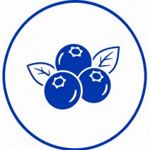 Acai berry készítmények