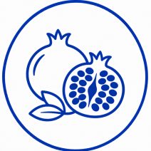Gránátalma készítmények