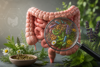 Mikrobiom: miért beszél róla mindenki? A bélflóra szerepe az egészségben